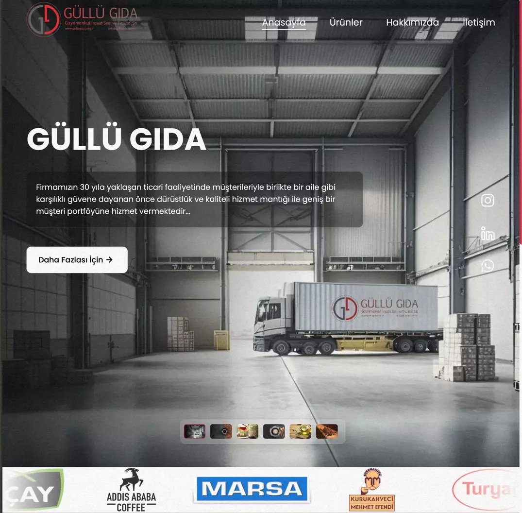 Güllü Gıda Web Site